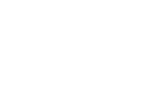 Feuer-Fuchs Logo, weiß auf transparentem Hintergrund